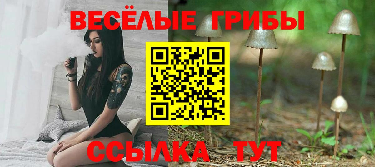 Новочеркасск  Галлюциногенные грибы Magic Shrooms  Вход с VPN  где продают наркотики  Галлюциногенные грибы Psilocybe 