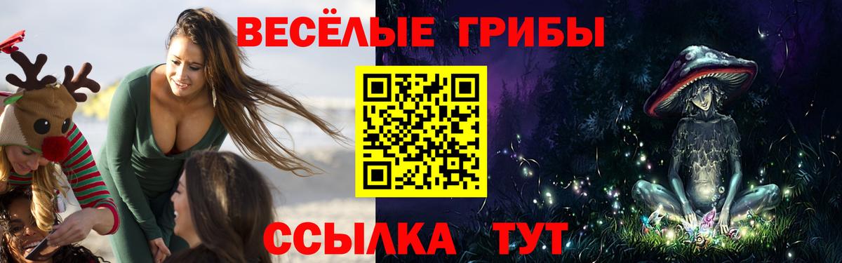 А ПВП СОЛЬ   Новочеркасск  Codein  АМФЕТАМИН   Меф МЯУ МЯУ кристаллы  МДМА  Вход с VPN  ЭКСТАЗИ  КОКАИН  Каннабис  Героин  ГАШ 